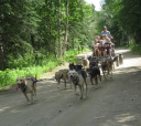 Chena cart ride